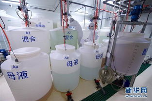 探訪中科三安植物工廠 機械設備的先進科技之旅